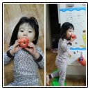 토향농장 이미지