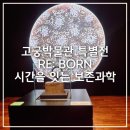 어진교차로 | 국립고궁박물관 특별전 《RE: BORN, 시간을 잇는 보존과학》 서울전시회추천