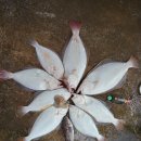 진부리 민박 이미지