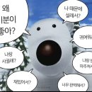 선몰 이미지