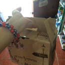 풍년잔치마당 이미지