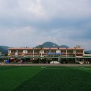 대중초등학교 이미지