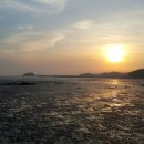 몽산포패밀리데이캠핑장 이미지