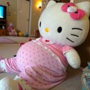 패트라산부인과의원 | 임신 8주,9주차 : 일산 차병원 초진 예약하기 / 제누검사 결과는? / 임신 간수치 높음