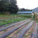 덕산면043 이미지