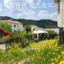 양평독채펜션피츠로이가든 | 화전리 풀빌라 양평독채펜션 피츠로이가든 하루쯤은 나를 위해