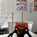 글라시에안경 이미지