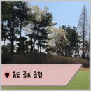 메트로골프클럽 | 송도골프클럽 라운딩 후기