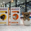 밝은약국 이미지