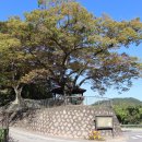 방아실마을회관 이미지