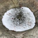 서산클라이밍