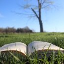 나만의 책 만들기 이미지