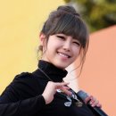 더핏불 이미지