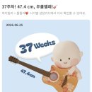 문아이스방구크림능평점 | 37주~출산/GBS결과/내진/미국/노산/경산모/이슬비침/출산/자연분만/분유수유/출산가방