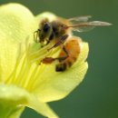 우리가락 경기민요 이미지