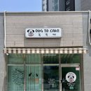 도그투케이크 이미지