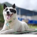 강림농장 이미지