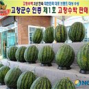 고창주유소 이미지