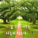 8월7일 수요일 ㅡ오늘은 24절기중 ㅡ 13번째 입추입니다ㅡ 이미지