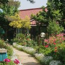 물맑은집 이미지