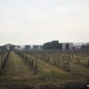 산타루치아 이미지