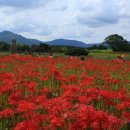신라고등학교 이미지
