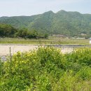 구변교