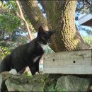 계룡산호텔 이미지