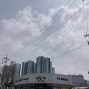 대농식자재마트 | 동두천 맛집 쯔양이 선택한 돈까스, 뜨돈 동두천점