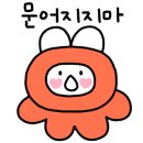 소림대풍 이미지