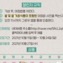 아침미소목