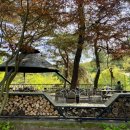 알리코제약(주) | 청주 근교 워크샵·야유회 장소 — 체육활동, 수영장, 바베큐 가능한 충북 단체 공간