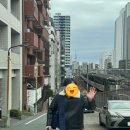 돈돈후라이드 | 진보초 본디 칸다오가와쵸점, 아키하바라 주말 차없는 거리, 신주쿠 돈돈 가부키조점 비추, 도쿄 마지막 날