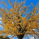 가은초등학교 이미지