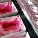 옥전농장 이미지