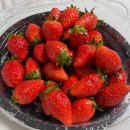 덕이로 | 39주 자연분만 유도분만 4시간 후기!진통어플 초산모 출산시기