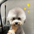 365 마음동물병원 이미지