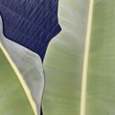 국제농자재 이미지