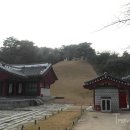 신덕4호 이미지