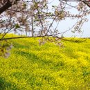 남해-128 이미지