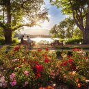 장미축제 이미지