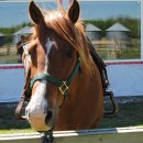 A song of  이미지