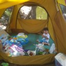 백년전에관광농원 이미지