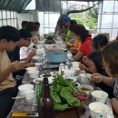 테라스의 아침펜션 이미지