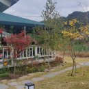 화이트 크로우 브루잉 이미지