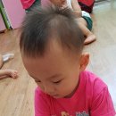 참사이언스 이미지