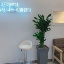 엘룩스헤어 이미지