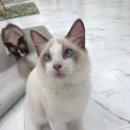 가창농협주유소 이미지