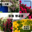 대문집