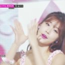 달링달링 Daum카페